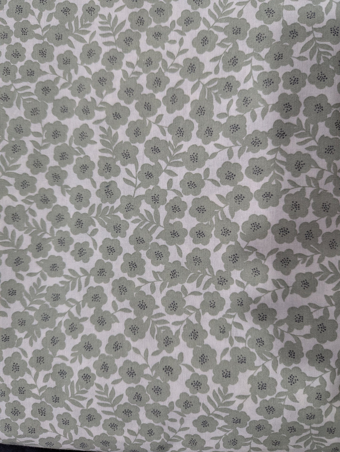 Pastel Green - Bedsheet set (5 FOR 16k)