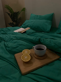 Solid Mint Green - 3 PC Duvet Cover