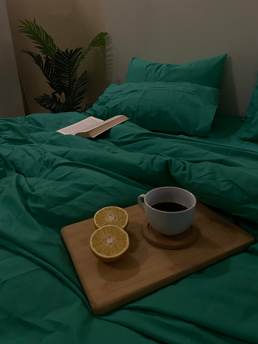 Solid Mint Green - 3 PC Duvet Cover