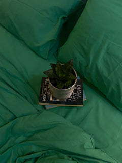 Solid Mint Green - 3 PC Duvet Cover
