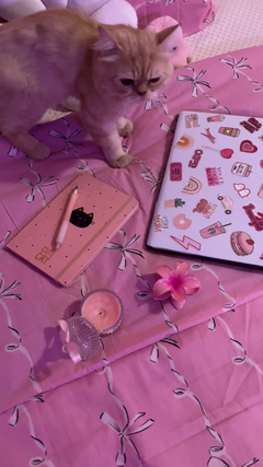 Pink Sugar